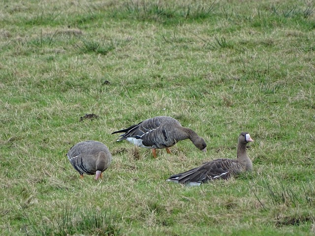力和成就 力和成就