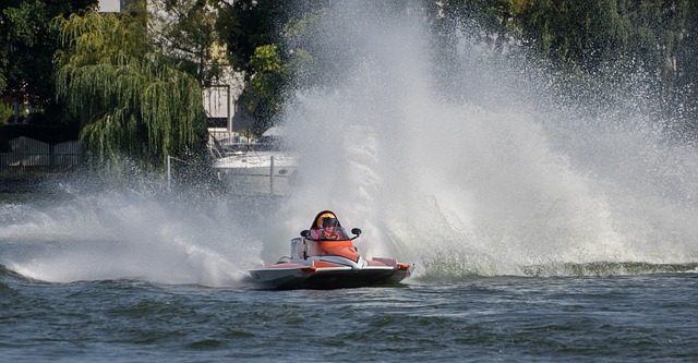 而成为公众 而成为公众