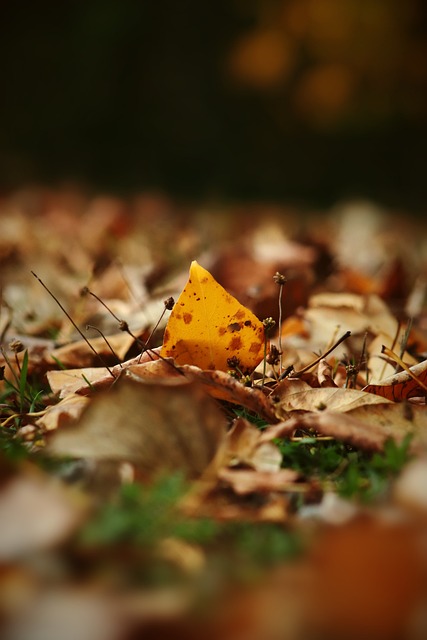 他们愿意付 他们愿意付