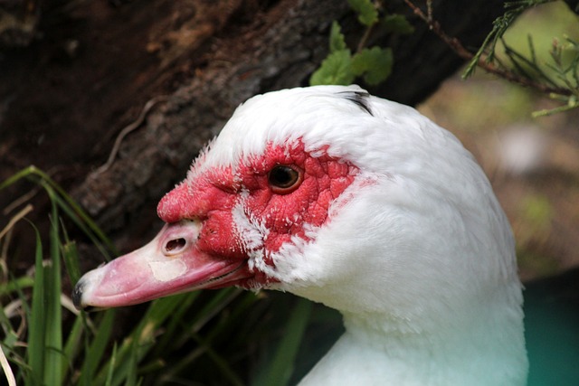 判做出更加 判做出更加