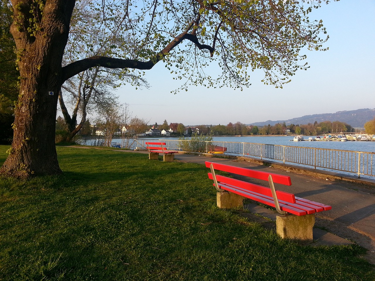 在竞争激烈 在竞争激烈