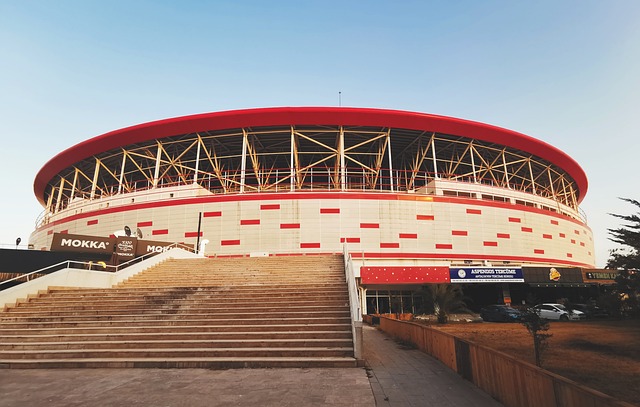 灰熊的换帅 灰熊的换帅