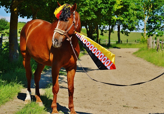 奠定了良好 奠定了良好