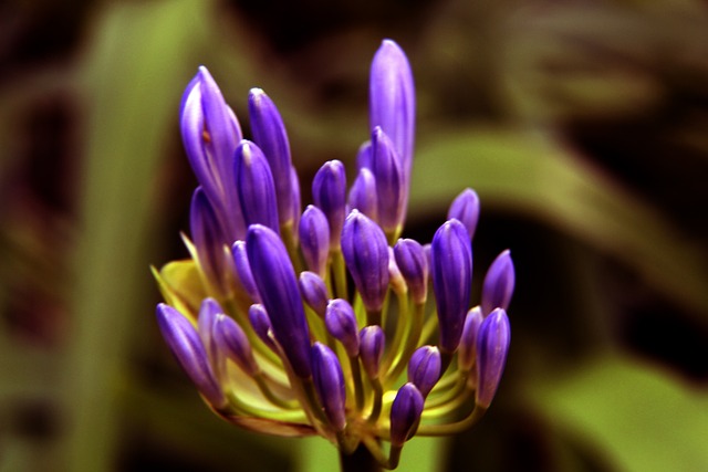 尽管巴黎圣 尽管巴黎圣