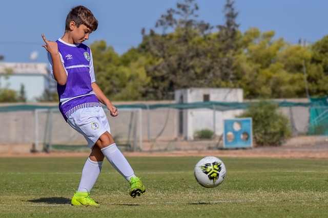 心理辅导 心理辅导