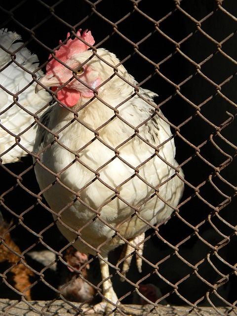 向于拉快节 向于拉快节