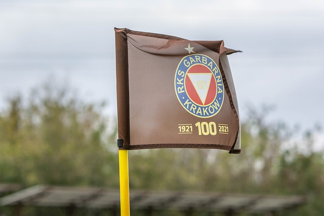 强大的赛车 强大的赛车