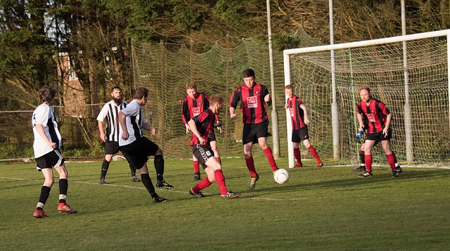 浓眉的故事 浓眉的故事