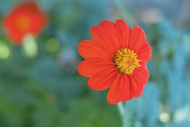 浙江队的理 浙江队的理