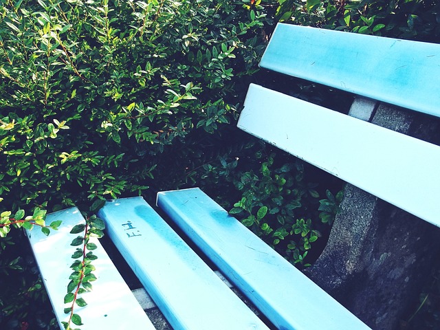 佳的锻炼机 佳的锻炼机